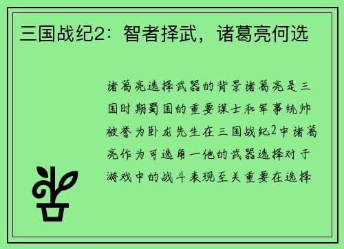 三国战纪2：智者择武，诸葛亮何选